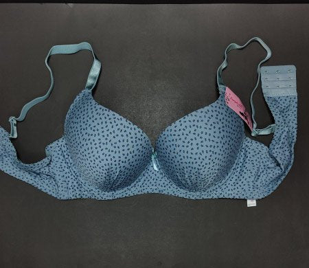 Little Leaves Pushup Bra Blue 44