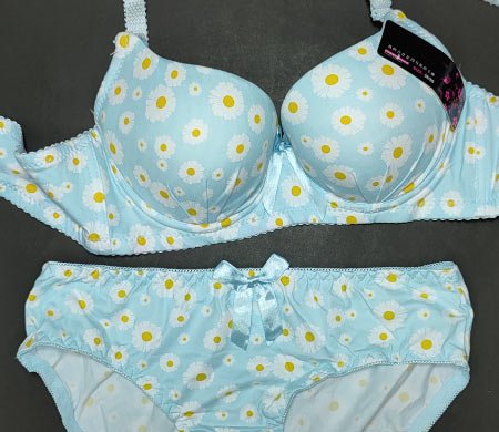 Flora 2PC Bra Sky Blue 36