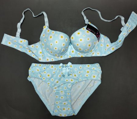 Flora 2PC Bra Sky Blue 36