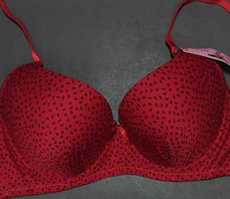 Little Leaves Pushup Red 44