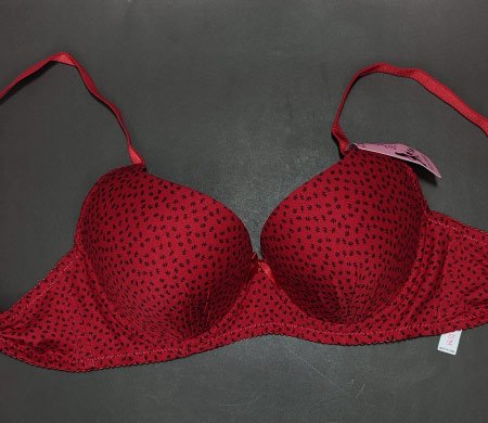 Little Leaves Pushup Red 44