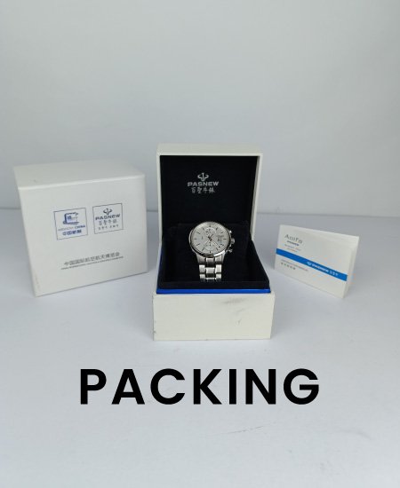 PASNEW Men's Watch