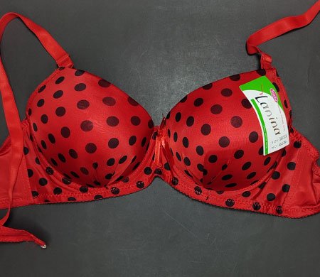 Red Polka Dot Bra 42